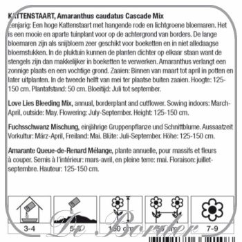 amaranthus-cascade-mix-216 Amaranthus Cascade Mix