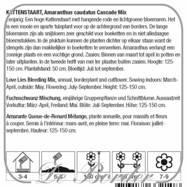 Amaranthus Cascade Mix