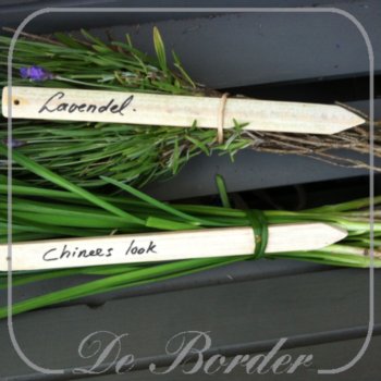 Bamboe plantlabels 6st