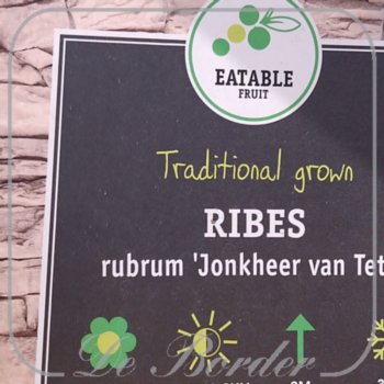 Bes 'Jonkheer van Tets'