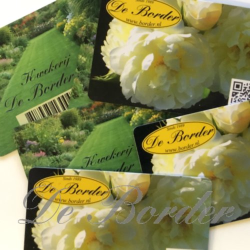 Plantengids De Border 2024/2025