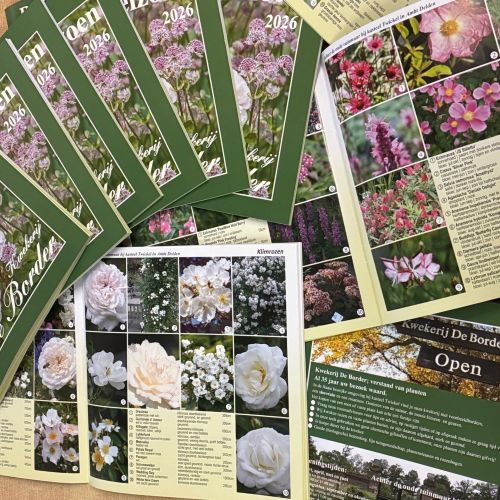 Plantengids De Border 2026