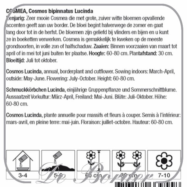Sneeboer Penwortelschopje V-model -essenhout