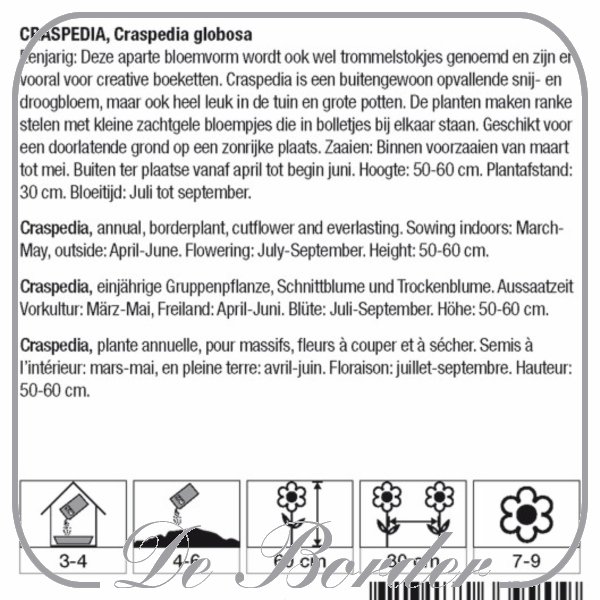 craspedia-globosa-220 Sneeboer Handspade - 42 cm steel