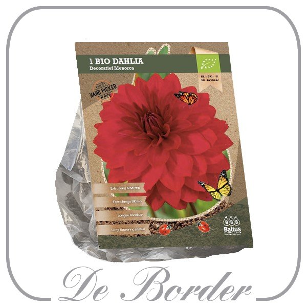 Dahlia (Bio) Menorca