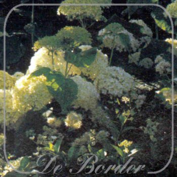 hydrangea-arborescens-annabelle-499.jpg Hydrangea arborescens 'Annabelle'