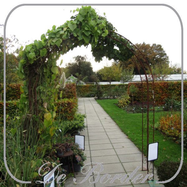 ijzeren-rozenboog-zwaar-5-delig-(punt)-b200xh270x35--710 IJzeren rozenboog zwaar 5 delig (punt) B200xH270x35