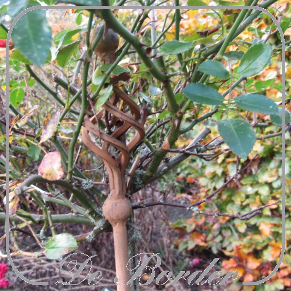 Iron -planten staak gedraaid 150cm
