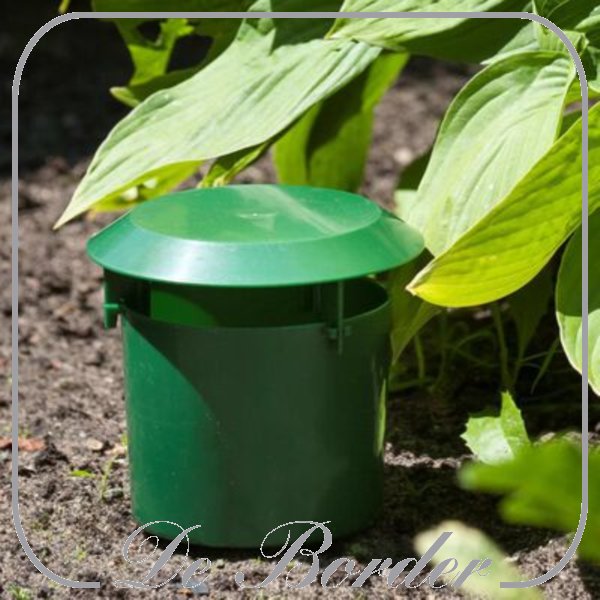 nature-slakkenval-849 Nature Slakkenval