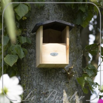 nestkast-roodborst-zwart-dak--253 Nestkast Roodborst zwart dak