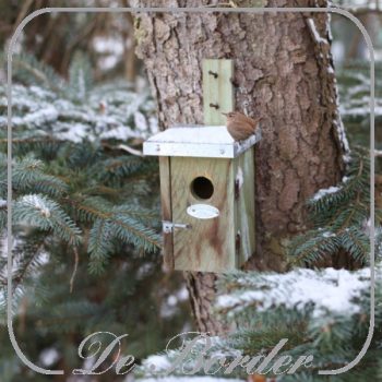 nestkast-winterkoning-785 Nestkast Winterkoning