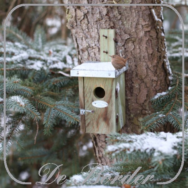 Nestkast Winterkoning