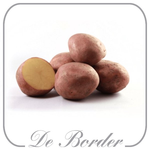 Pootaardappel Bildstar, 1kg laat