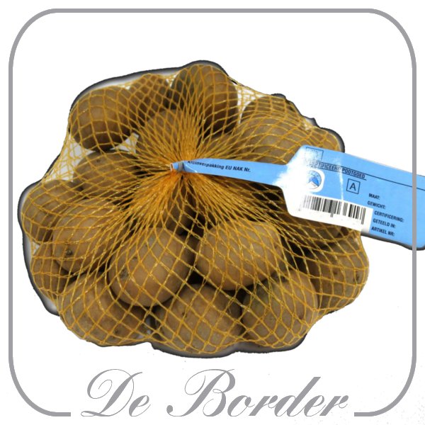 Pootaardappel Bildstar, 1kg laat