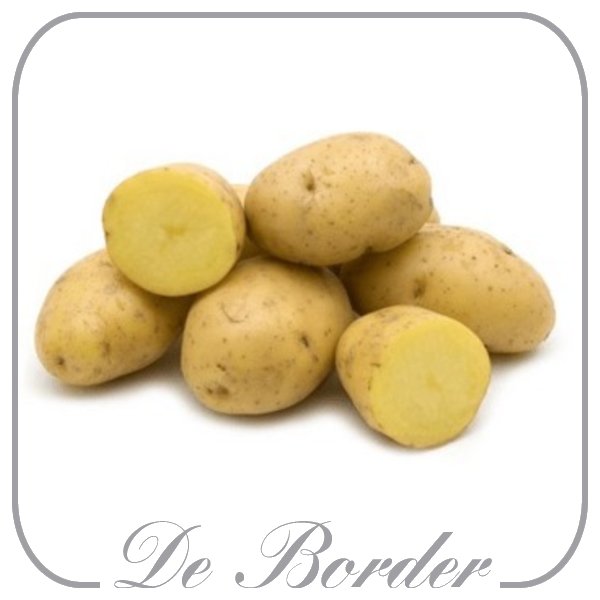 Pootaardappel Frieslander, 1kg vroeg-jun-jul