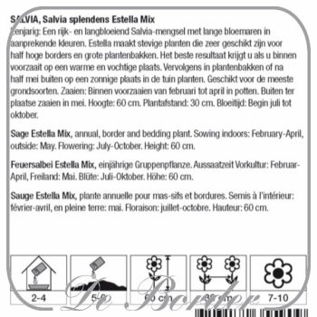 Salvia splendens Estella Mix