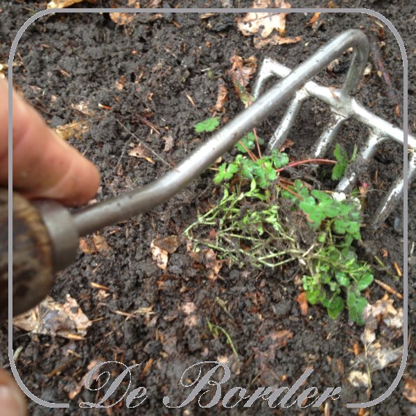 sneeboer-handharkje-5-tanden-essenhout-481 Sneeboer Handharkje 5 tanden -essenhout