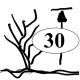 Ligustrum lucidum